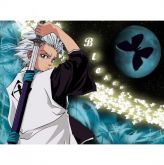 Toushiro Hitsugaya Cosplay completo